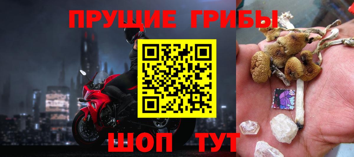 Галлюциногенные грибы мухоморы Касимов