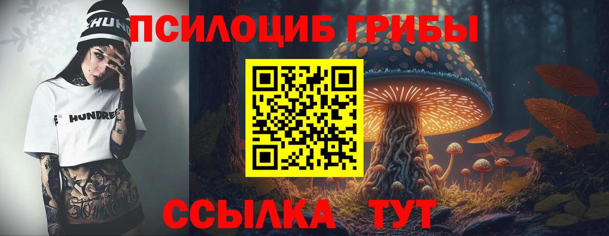 Псилоцибиновые грибы Psilocybe  Вход с VPN  Псилоцибиновые грибы Cubensis  цена   Касимов 
